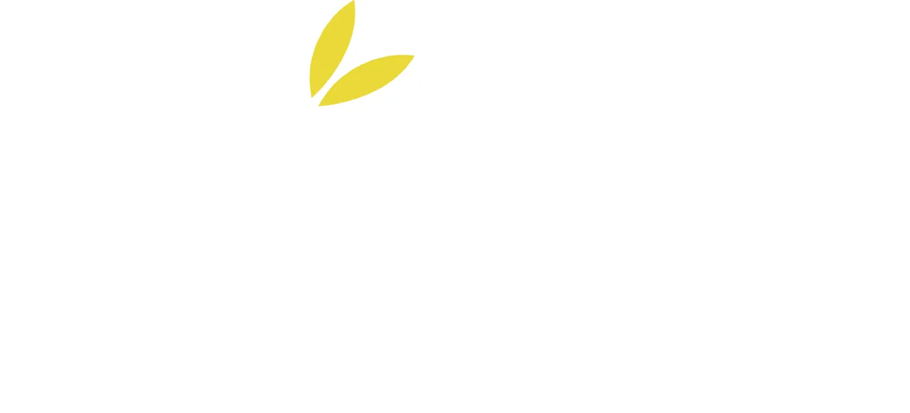 Kita brand asset featured on usekita.com