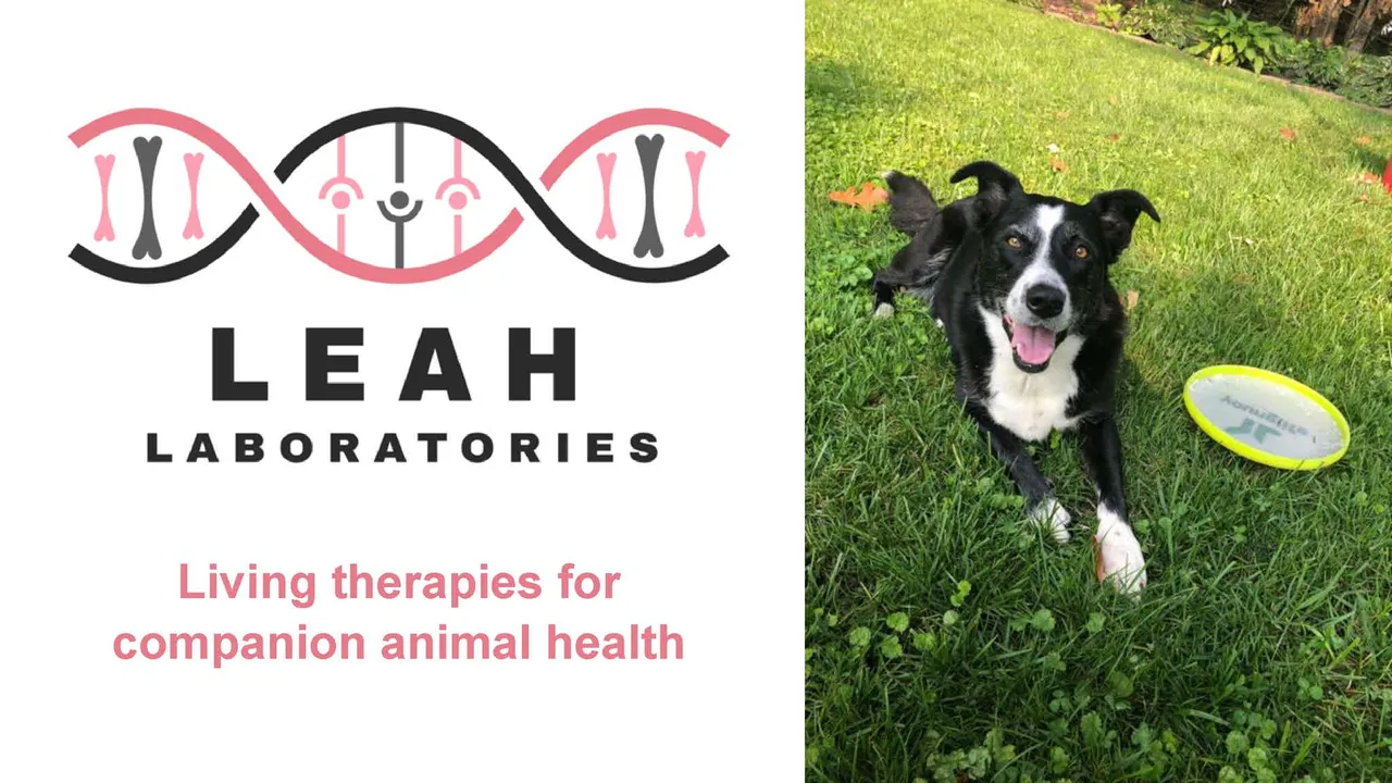 LEAH Labs brand asset featured on wefunder.com