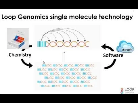 Loop Genomics brand asset featured on youtube.com