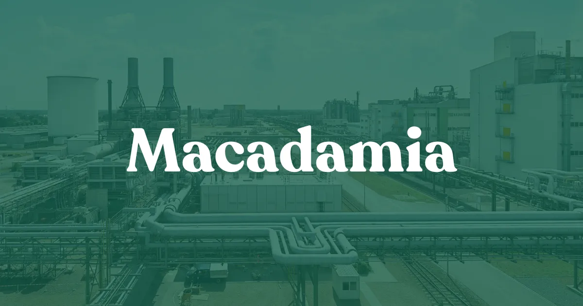 Macadamia brand asset featured on macadamialabs.com