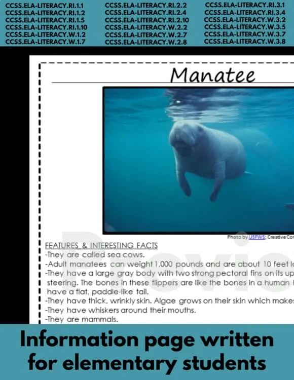 Manatee brand asset featured on teacherspayteachers.com