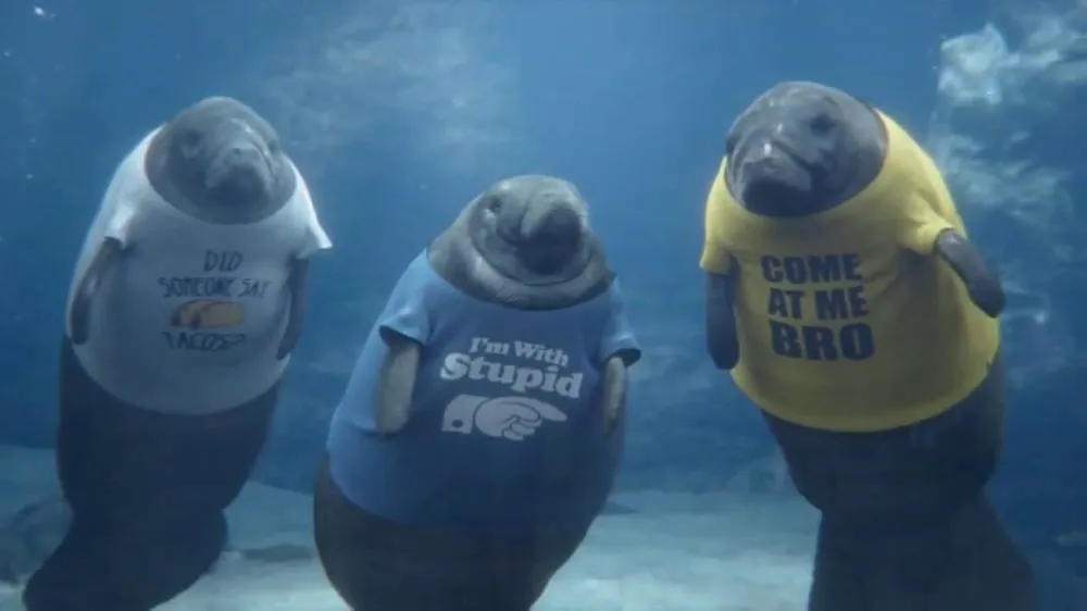 Manatee brand asset featured on ispot.tv