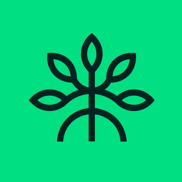 Mangrove brand asset featured on blog.mangrove.exchange