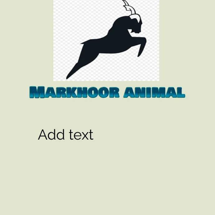 Markhor brand asset featured on postermywall.com
