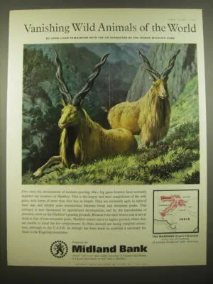 Markhor brand asset featured on ebay.com
