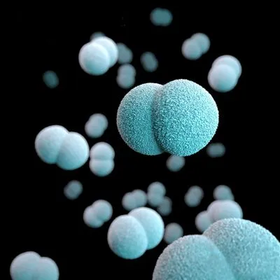 Matrubials brand asset featured on matrubials.com