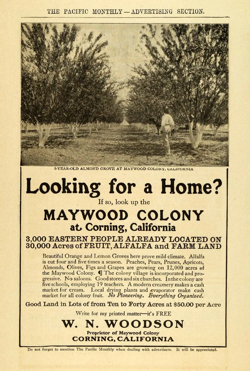 Maywood brand asset featured on periodpaper.com