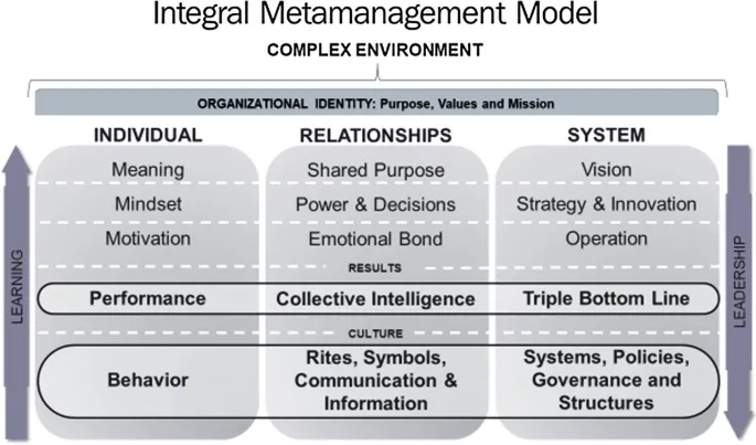 Metamanagement brand asset featured on link.springer.com