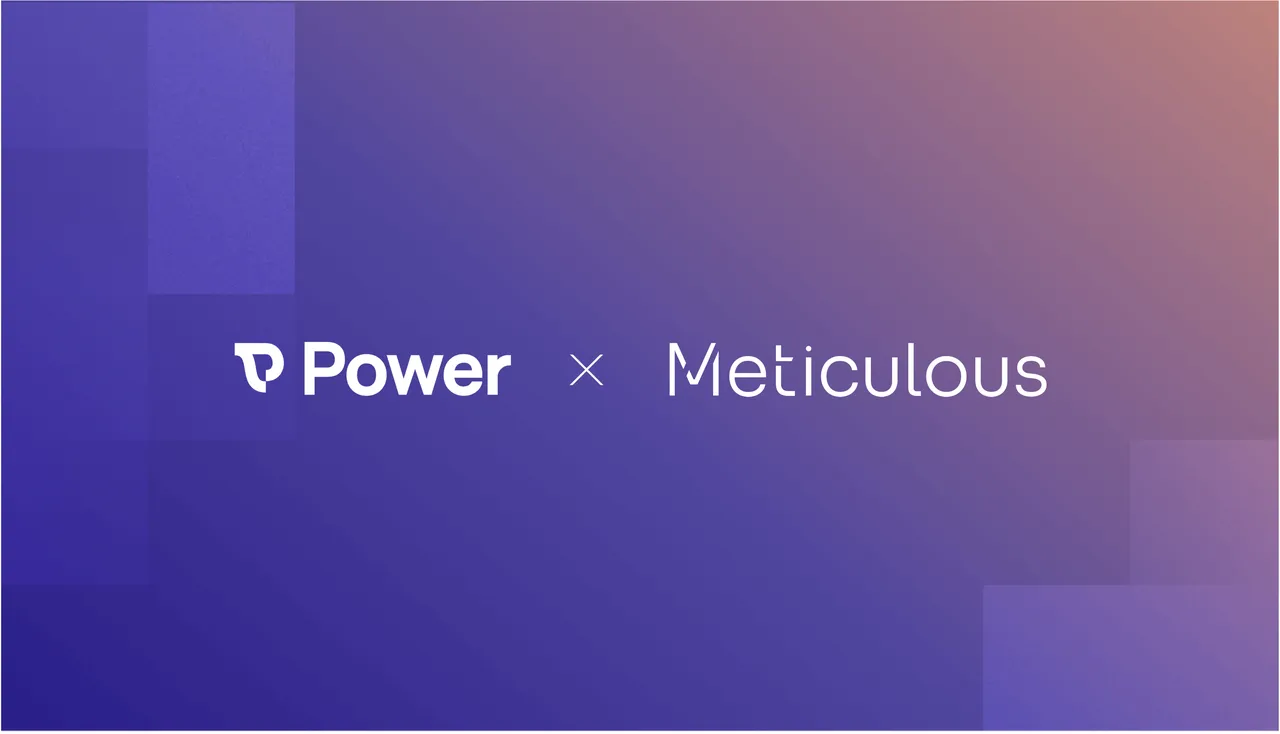 Meticulous brand asset featured on meticulous.ai