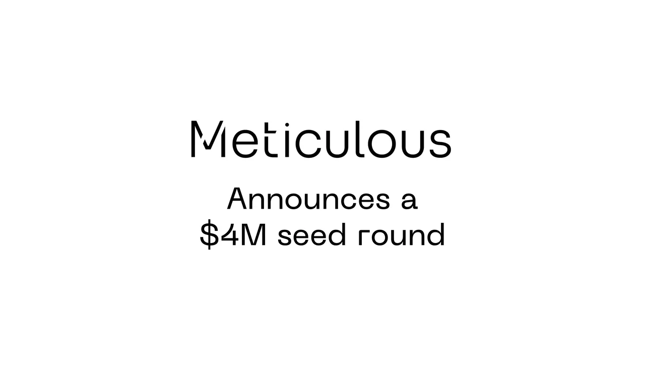 Meticulous brand asset featured on meticulous.ai