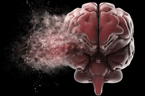 Mind Emulation Foundation brand asset featured on gigazine.net