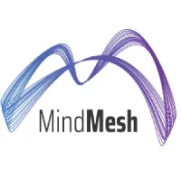 Mindmesh brand asset featured on pitchbook.com