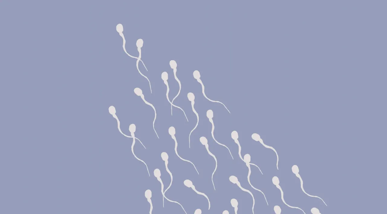 Modern Fertility brand asset featured on modernfertility.com