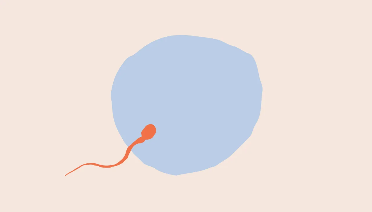 Modern Fertility brand asset featured on modernfertility.com