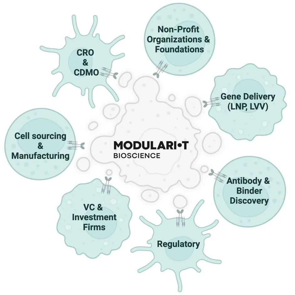 Modulari-T brand asset featured on modularit.bio