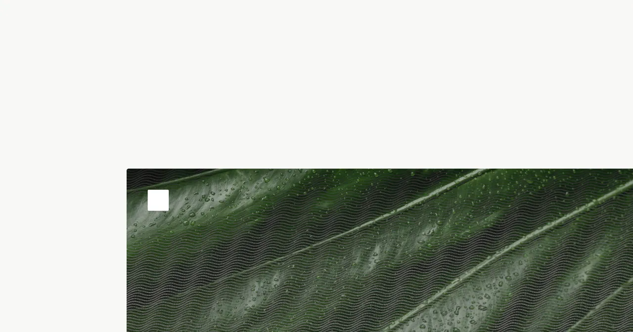 Natural brand asset featured on natural.co