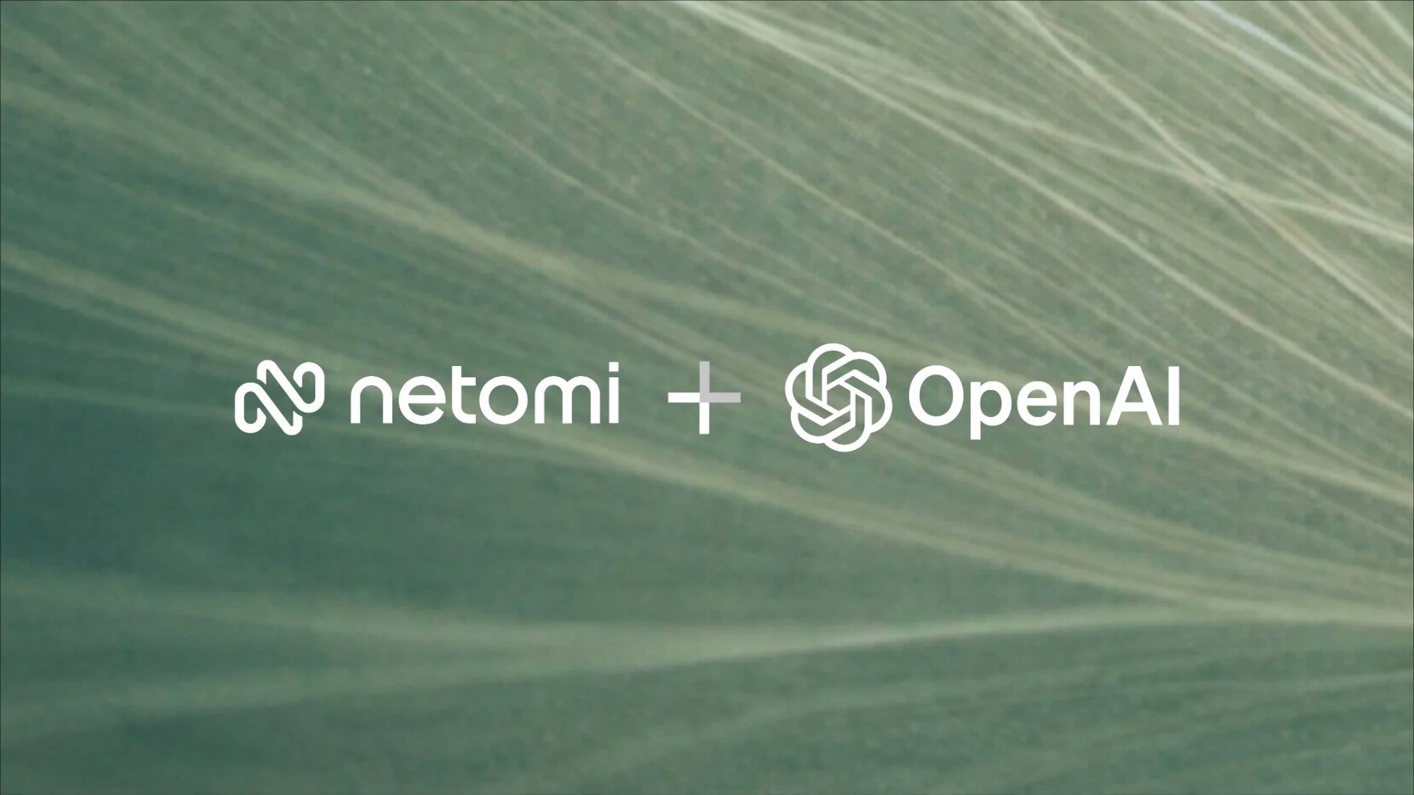 Netomi brand asset featured on netomi.com