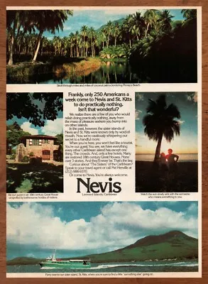 Nevis brand asset featured on ebay.com