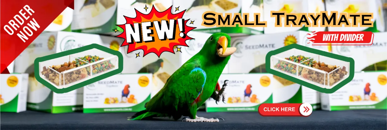 NewCraft brand asset featured on newcraft.com.au