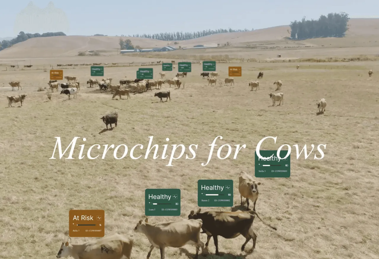 Nexa Labs brand asset featured on nexa.farm