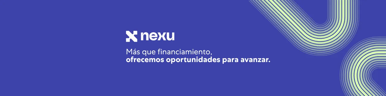 Nexu brand asset featured on nexu.mx
