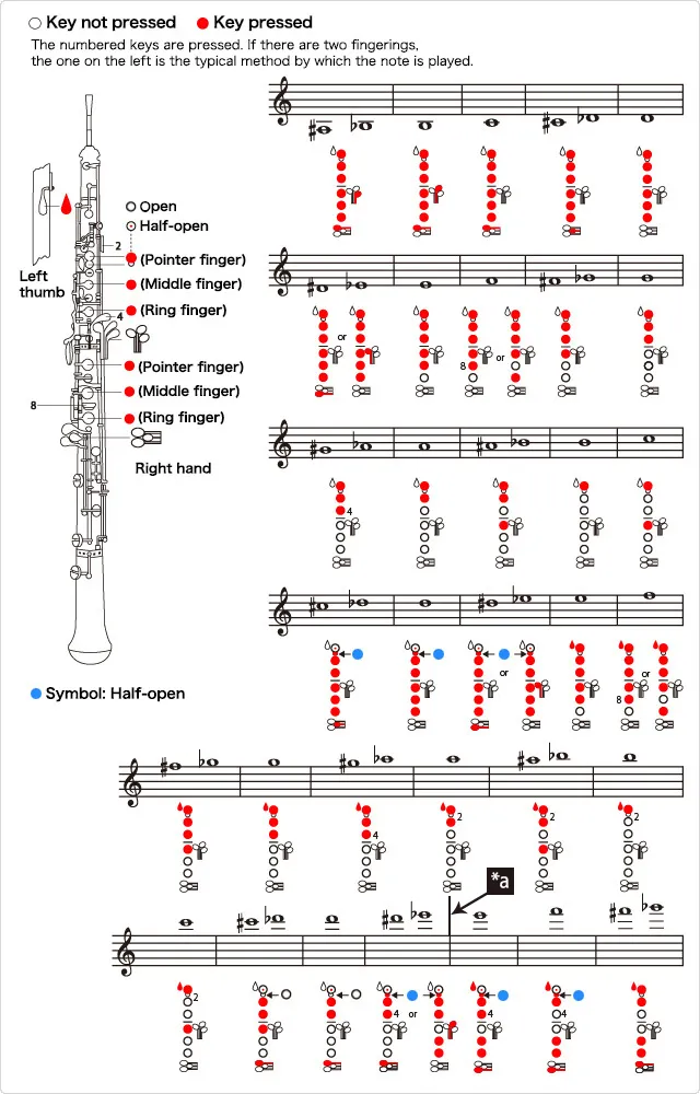 Oboe brand asset featured on yamaha.com