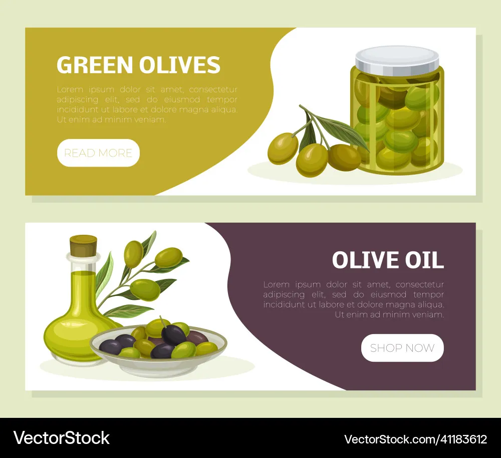 Olive brand asset featured on vectorstock.com