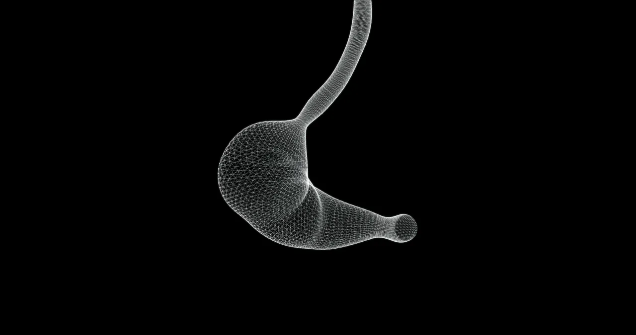 OpenBiome brand asset featured on openbiome.org