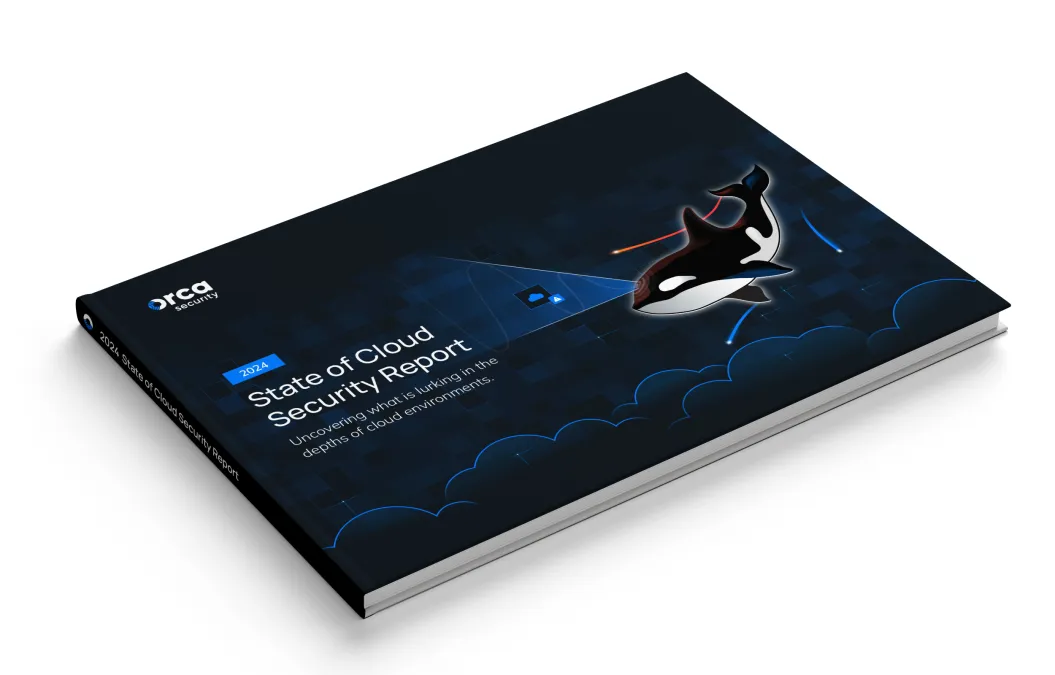 Orca brand asset featured on orca.security