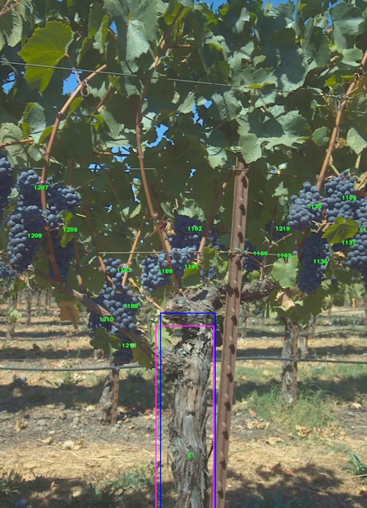 Orchard brand asset featured on orchard.ai