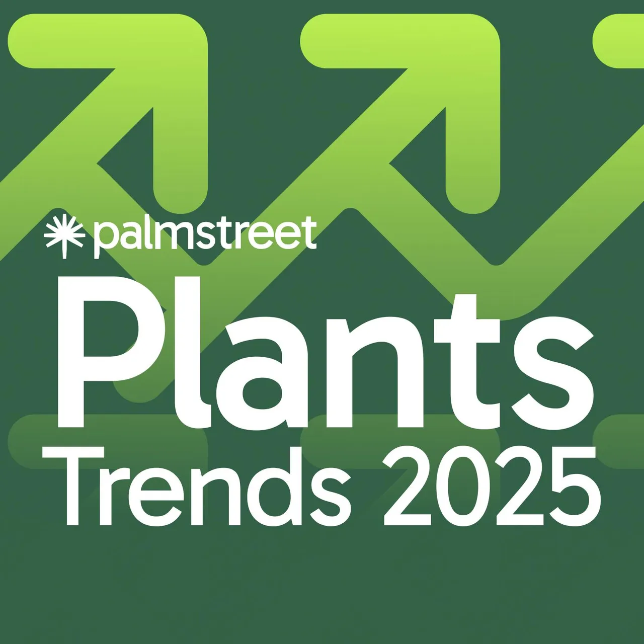 Palmstreet brand asset featured on palmstreet.app