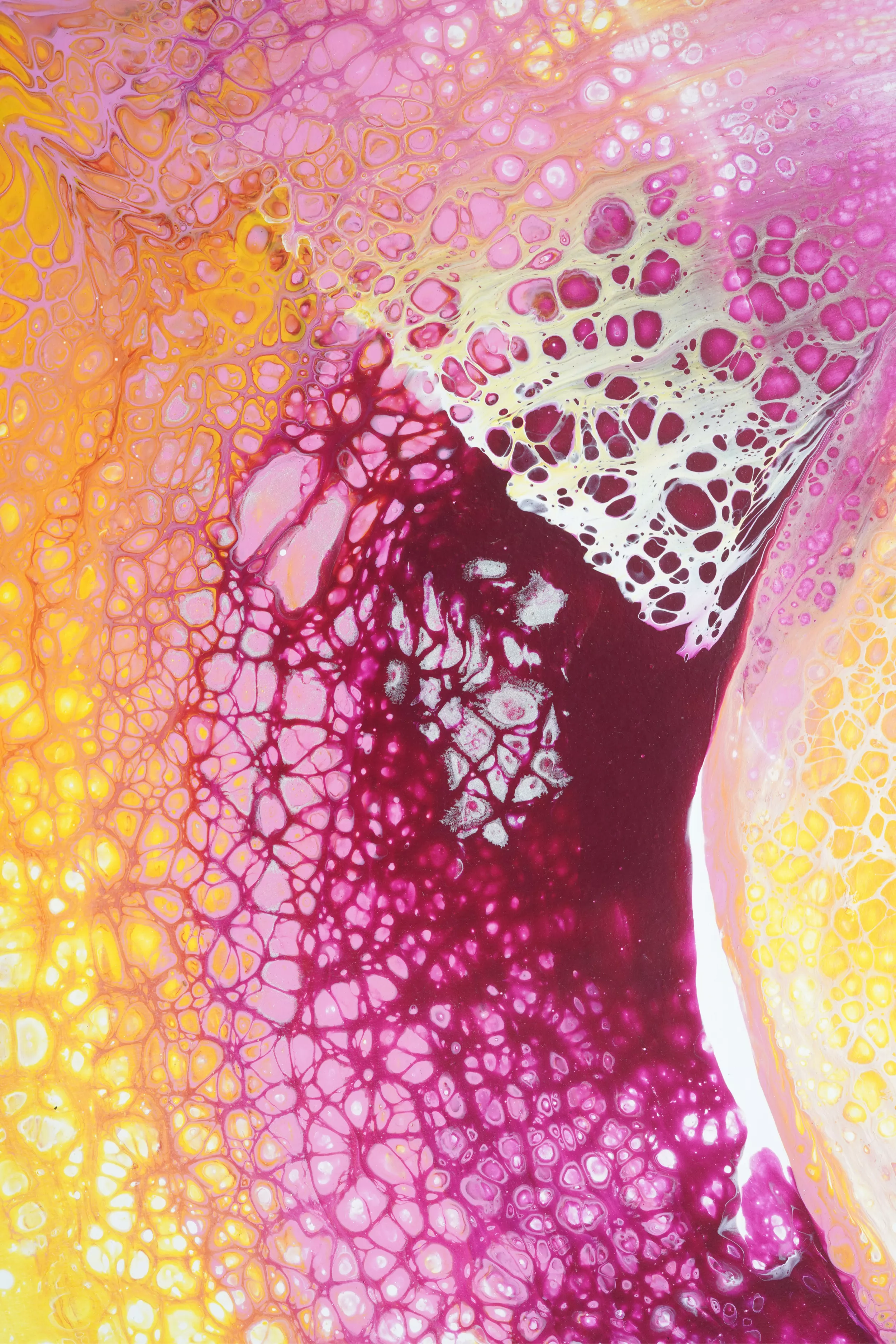 Parallel Bio brand asset featured on parallel.bio