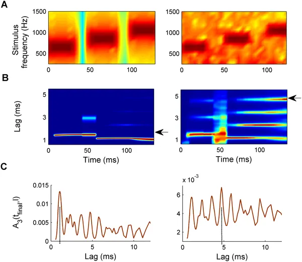 Perception Biosystems brand asset featured on journals.plos.org