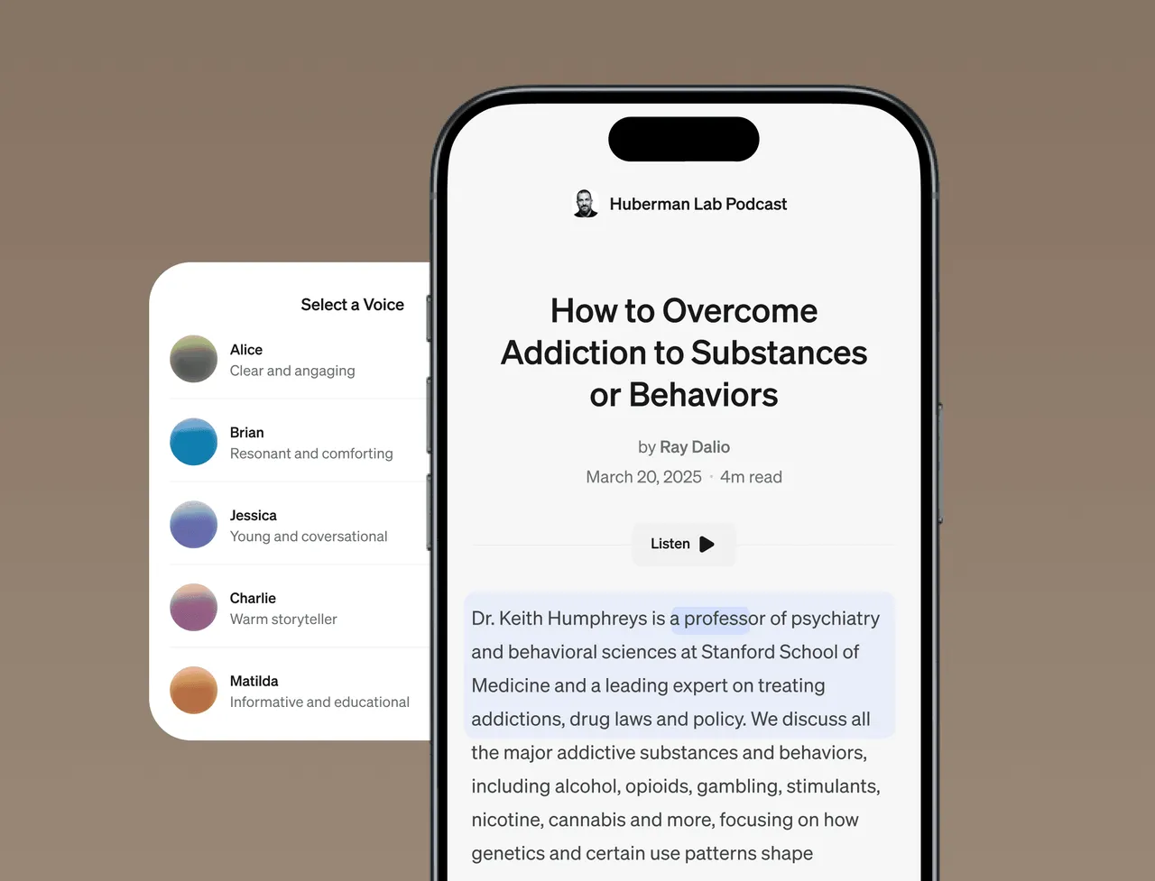 Perch brand asset featured on perch.app