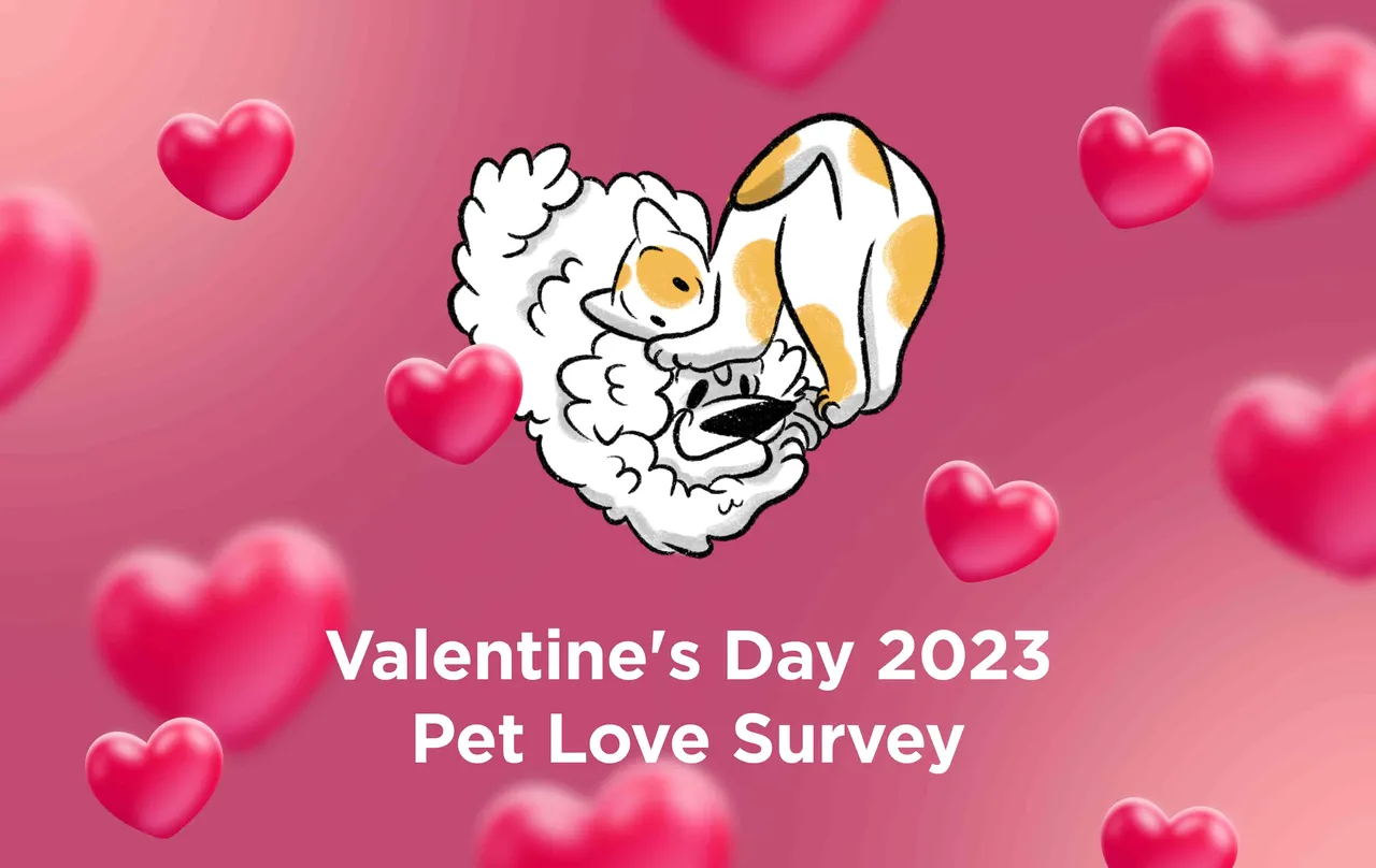 Petcube brand asset featured on petcube.com