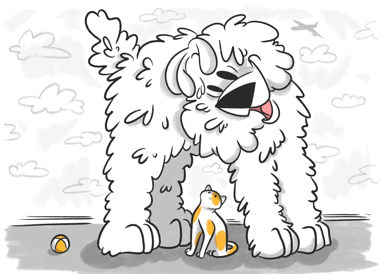 Petcube brand asset featured on petcube.com