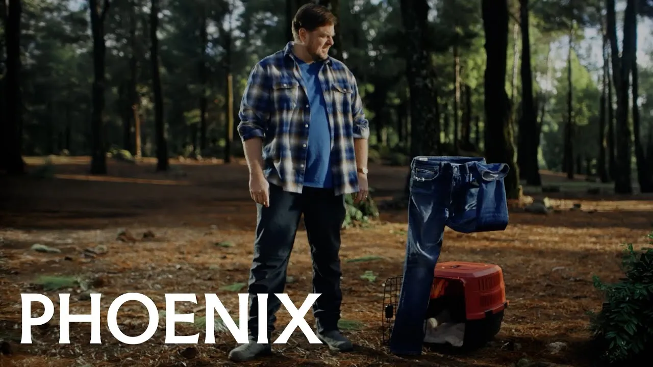 Phoenix brand asset featured on phoenix.ca