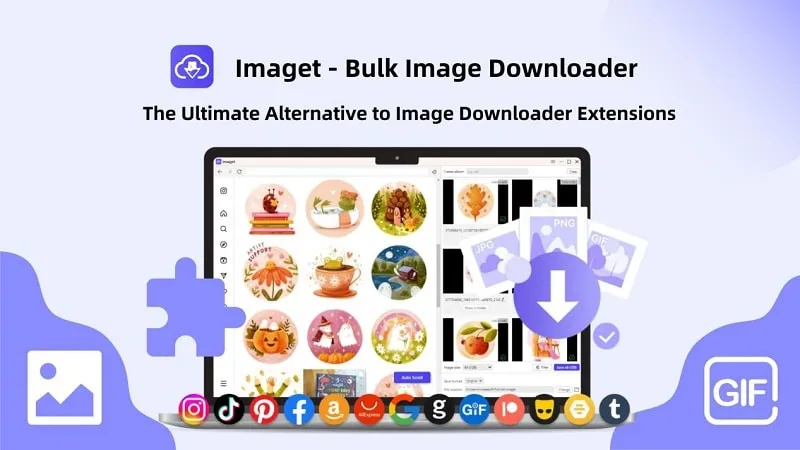 Picplum brand asset featured on picplum.com