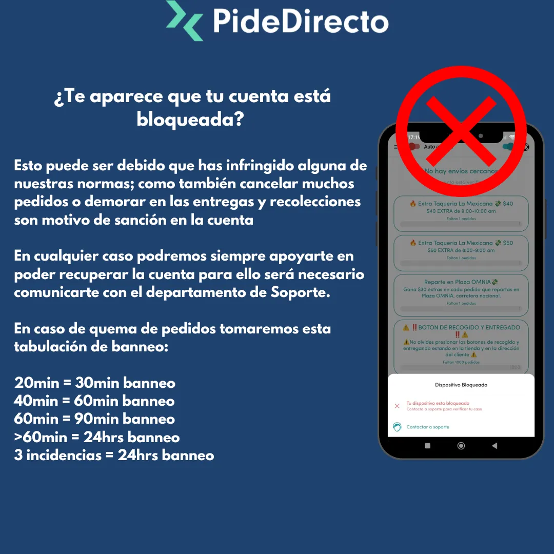 Pide Directo brand asset featured on repas.pidedirecto.mx