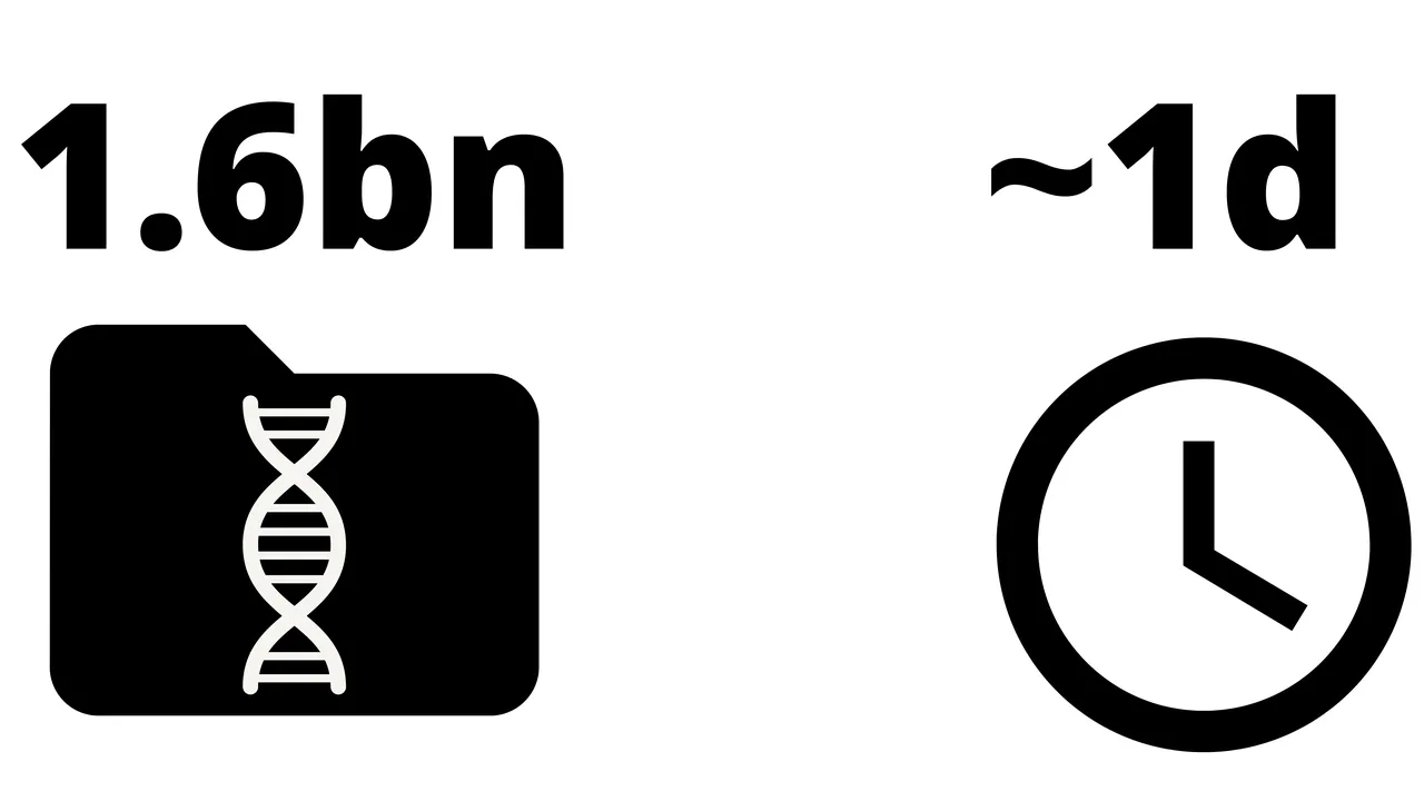 PipeBio brand asset featured on pipebio.com