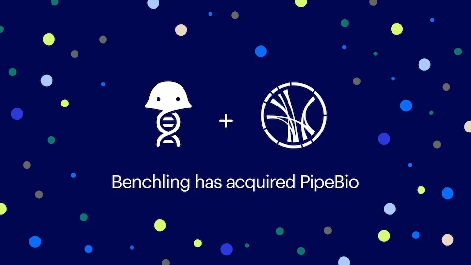 PipeBio brand asset featured on pipebio.com