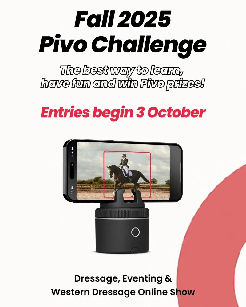 Pivo Technology Inc brand asset featured on linkedin.com
