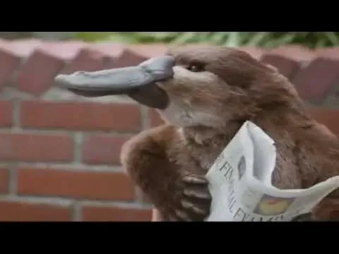 Platypus brand asset featured on youtube.com