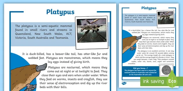 Platypus brand asset featured on twinkl.com.sg