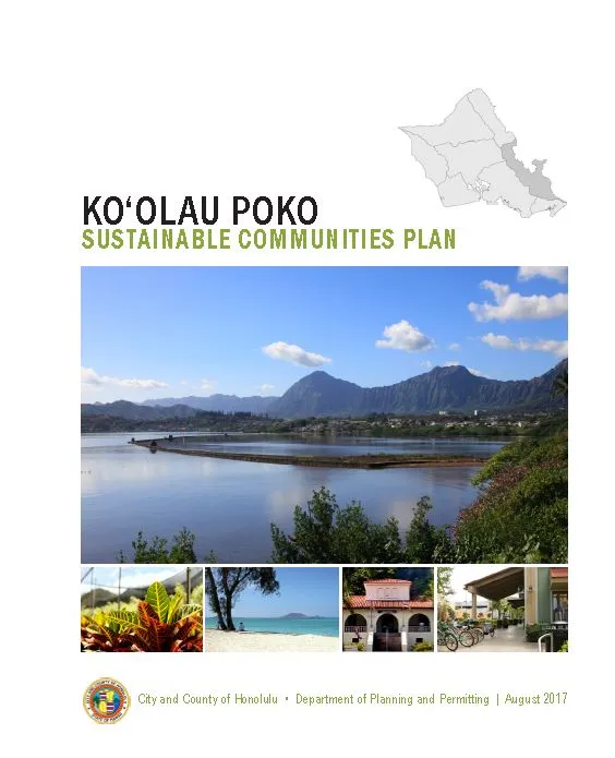 Poko brand asset featured on honolulu.gov