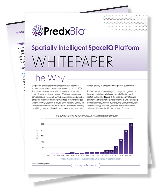 PreDxion Bio brand asset featured on predxbio.com