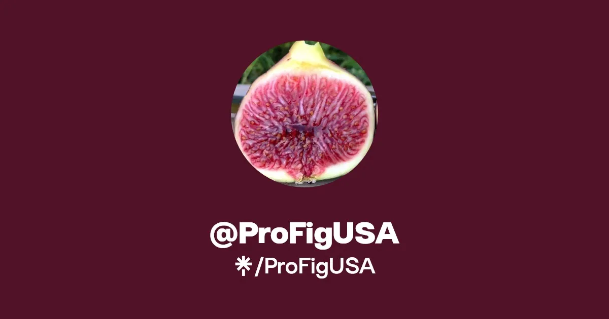 Profig brand asset featured on linktr.ee