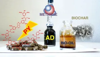 Py brand asset featured on sciencedirect.com