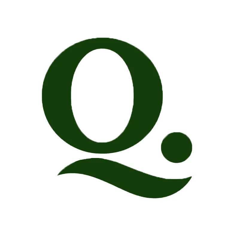 Q2Q brand asset featured on tryq2q.com