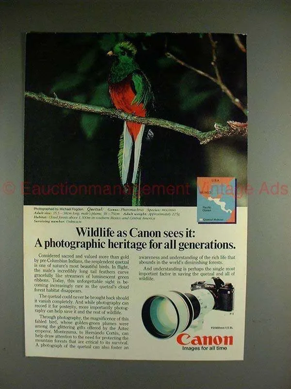 Quetzal brand asset featured on ebay.com